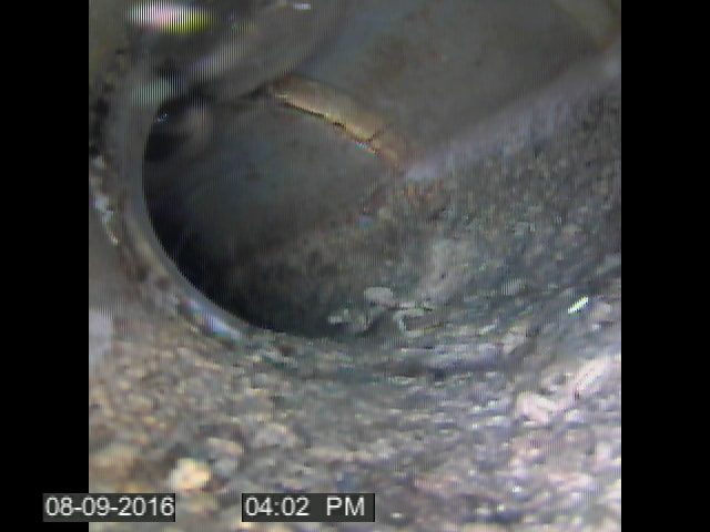 inspection canalisation caméra endoscopique